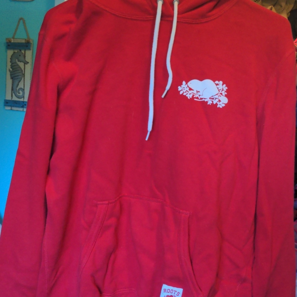 Roots Canadian flag hoodie